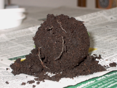 Gamm und Jot am 27.05.2007